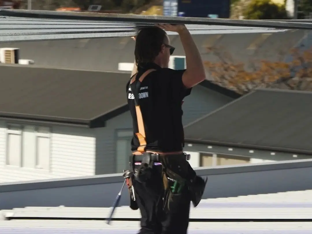An Exo Roofing roofer laying longrun steel sheets on an Auckland house